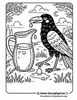 16 Crow Coloring Pages  Free Printable sketch template