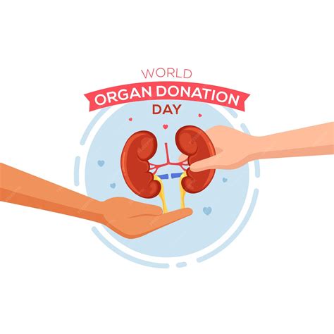 Premium Vector | World Organ Donation Day banner healthcare illustration