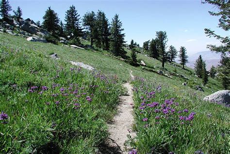 The 6 Best Hikes Near Boise | GearJunkie