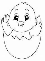 Chick Coloring Pages Print Colorings Sketch Page sketch template
