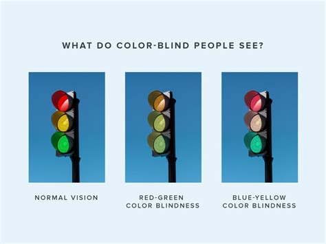 What Is Color Blindness? | Warby Parker