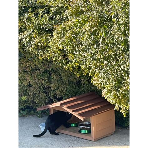 Cedar Cat Feeding Station with Extended Roof for Outdoor Cats