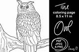 Coloring Pages Nocturnal Animals sketch template