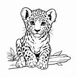 Premium Vector  Baby cheetah Isolated coloring Page For Kids sketch template