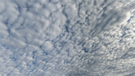 Stratus Cloud: Definition and description | sciencequery.com