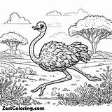 Ostrich Running Wild Coloring Page  Coloring For Kids – Smart sketch template