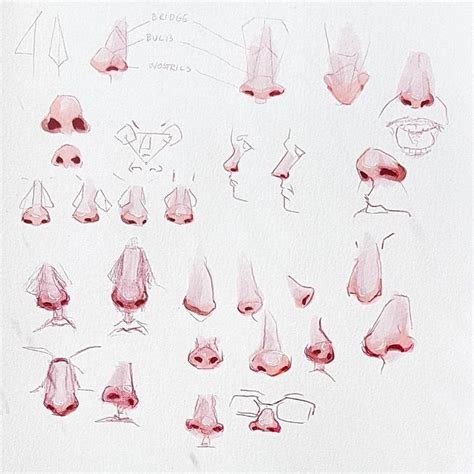 70+ Drawings Of Noses: Sketches, Studies & Sketchbook Examples