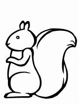 Drawing Of Squirrel coloring Page  Download Print Or Color Online For sketch template
