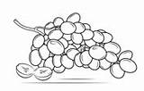 Coloriage  Corbeille de Fruits Coloriages à Imprimer Gratuits sketch template