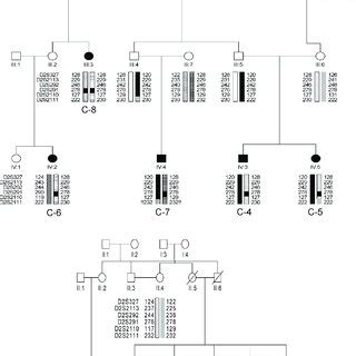 Haplotype Analysis. Haplotype analysis using six microsatellite markers... | Download Scientific ...