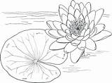 Claude Monet Coloring Pages At GetColoringscom  Free Printable sketch template