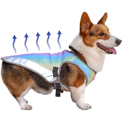 Best Dog Cooling Vest for heat | Top 7 Options Reviewed