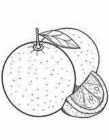 Grapefruit Coloring Pages Free Printable PDF sketch template