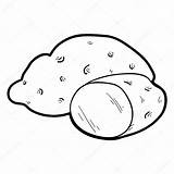 Vector Potato  Coloring Book Game Fruits And Vegetables sketch template