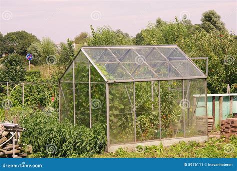 Allotment garden stock image. Image of outdoor, cultivation - 5976111