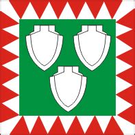 Saku (Estonia), flag - vector image