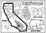 25  california coloring page KalenPatronella sketch template