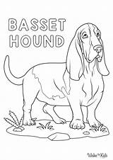 Basset Hound Coloring Pages Free Printable PDFs  WakeTheKids sketch template