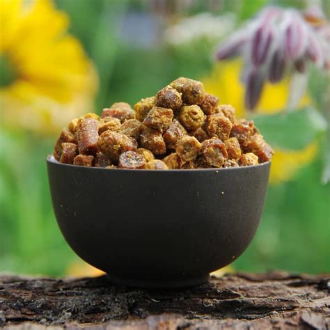 Bee Bread: Natural Comb Cell Bee-Fermented Pollen