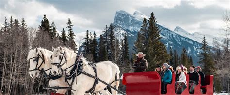 Banff Sleigh Rides | Discover Banff Tours