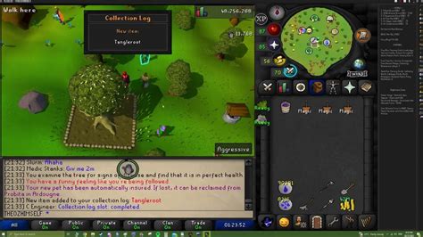 OSRS 84 Farming Tangleroot Pet - YouTube