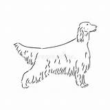 English Setter Puppy Coloring Pages sketch template