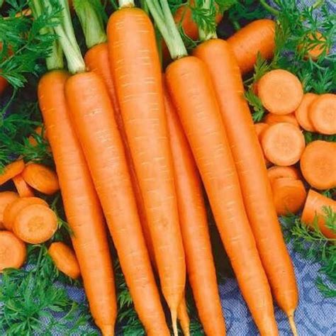 Organic Carrot Seeds tendersweet Fresh Premium Garden | Etsy