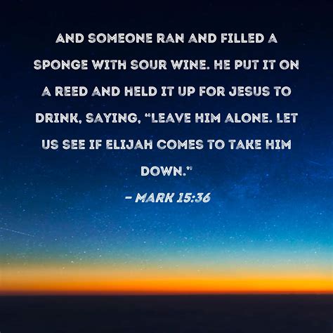 Mark 15:36 And someone ran and filled a sponge with sour wine. He put it on a reed and held it ...