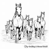 Herd Of Horses Coloring Pages  Free & Printable sketch template