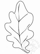 Autumn Oak Leaf – Coloring Page sketch template