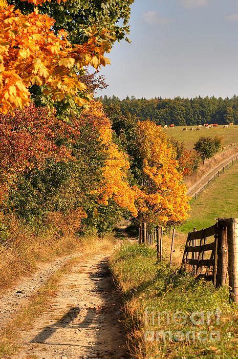 Fall Country Road Beautiful World, Beautiful Places, Beautiful Scenery, Country Roads Take Me ...