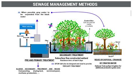 Sewage Management Methods | Septic System | Vermi-processing