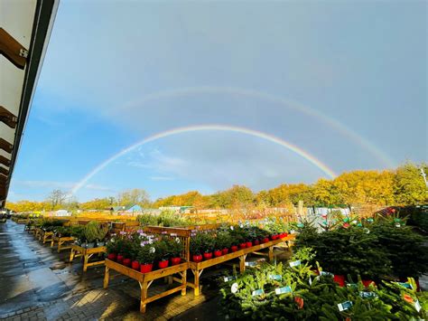 Hillier-garden-centre-lechlade-plant-area-rainbow - Hillier