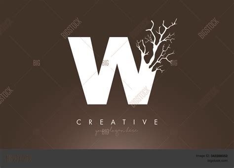 Letter W Design Logo Vector & Photo (Free Trial) | Bigstock