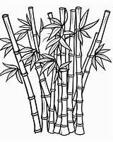 Bamboo Coloring Pages sketch template