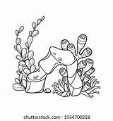 2002 Sea sponge drawing Stock Illustrations Images & Vectors  sketch template