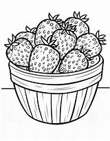 Detailed Coloring Pages Free Printable PDF sketch template
