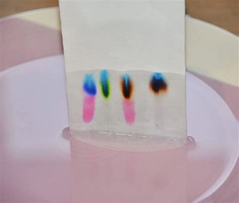 Paper Chromatography Experiment