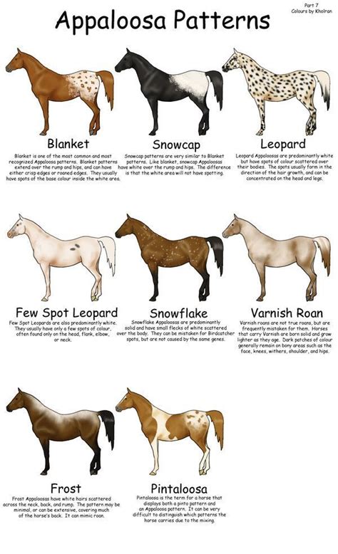 HORSES, HORSES, HORSES, HORSES | Horses, Horse breeds, Horse markings