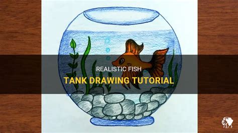 Realistic Fish Tank Drawing Tutorial | PetShun