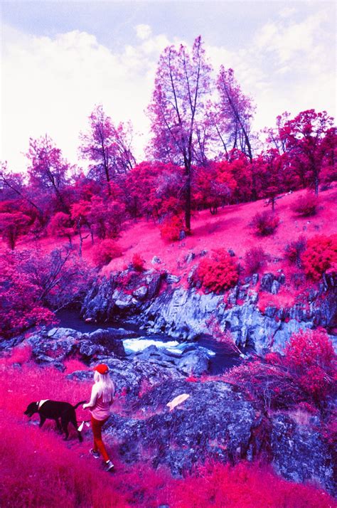 Infrared Photography Direct sunlight across the whole scene makes it easier to meter - The ...