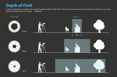 Beginner Depth of Field Diagram | Depth of field, Depth of field photography, Digital ...