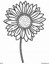 Easy Sunflower Coloring Page sketch template