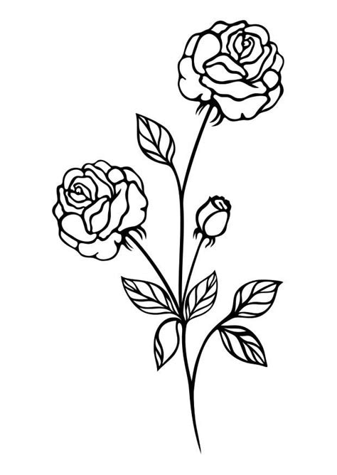 Dibujos De Rosas Para Colorear Dibujos De Rosas Dibujos De Flores ...