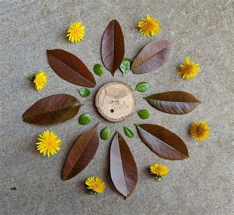 #CBfromHome Activity: Nature Mandalas | Crystal Bridges Museum of ...