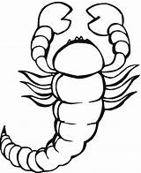 Free Printable Scorpion Coloring Pages For Kids sketch template