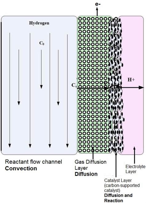 Gas Diffusion Layer for Low-Temperature Fuel Cells