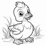 20 Baby Duck / Duckling Coloring Pages For Kids  Etsy sketch template