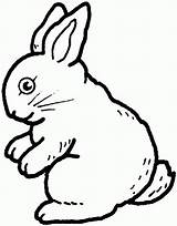 Free Printable Rabbit Coloring Pages For Kids sketch template