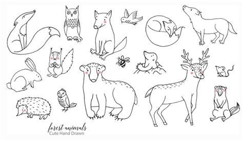 line Art Drawings Animals Illustrations